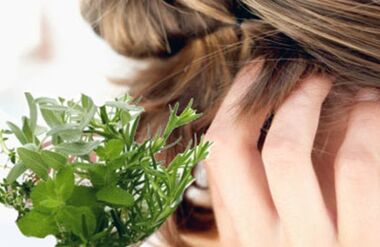 Herbs against psoriasis on the head